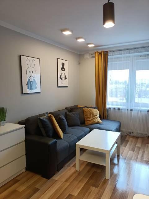 Family & Business Elegant Apartments Rynek Centrum Downtown - 2 Bedroom, Balcony, Parking Kielce Esterno foto