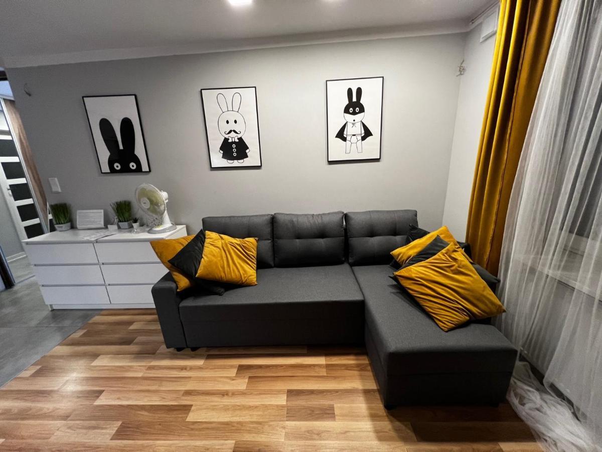 Family & Business Elegant Apartments Rynek Centrum Downtown - 2 Bedroom, Balcony, Parking Kielce Esterno foto